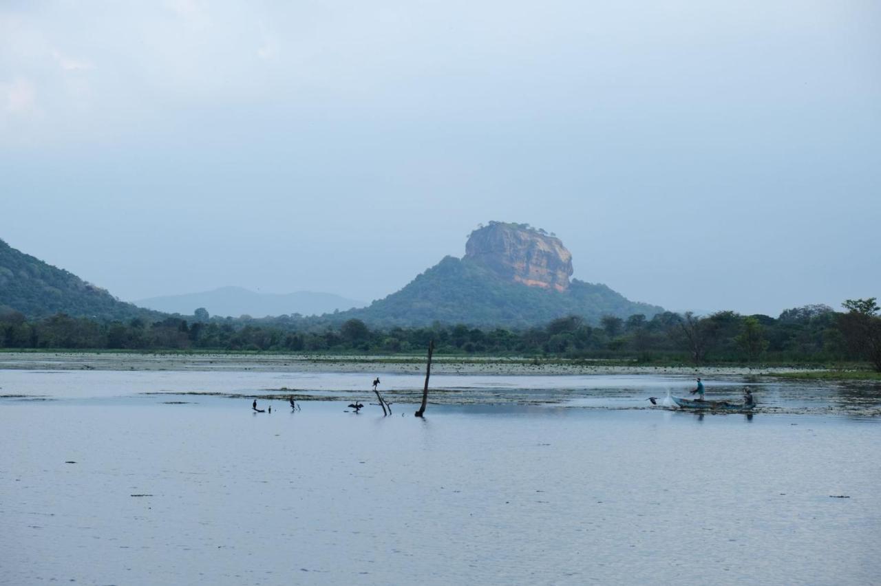 Ruk Sewana Villa Tree House Sigiriya Eksteriør billede