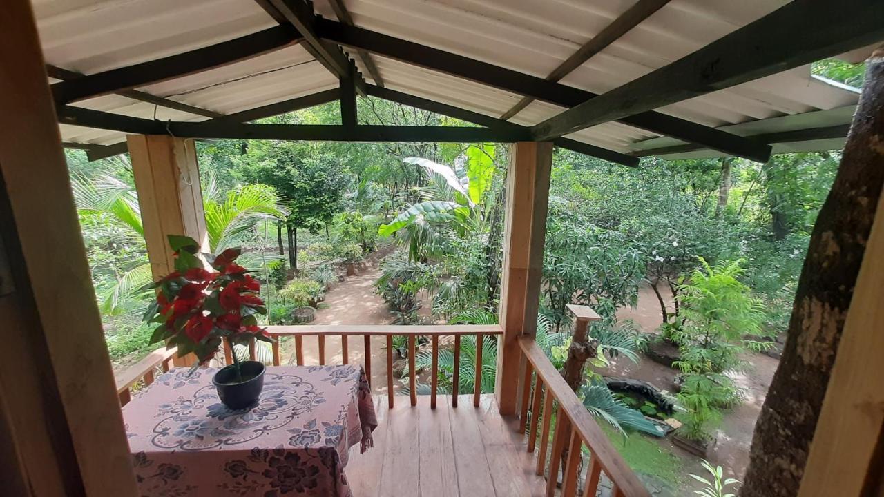 Ruk Sewana Villa Tree House Sigiriya Eksteriør billede