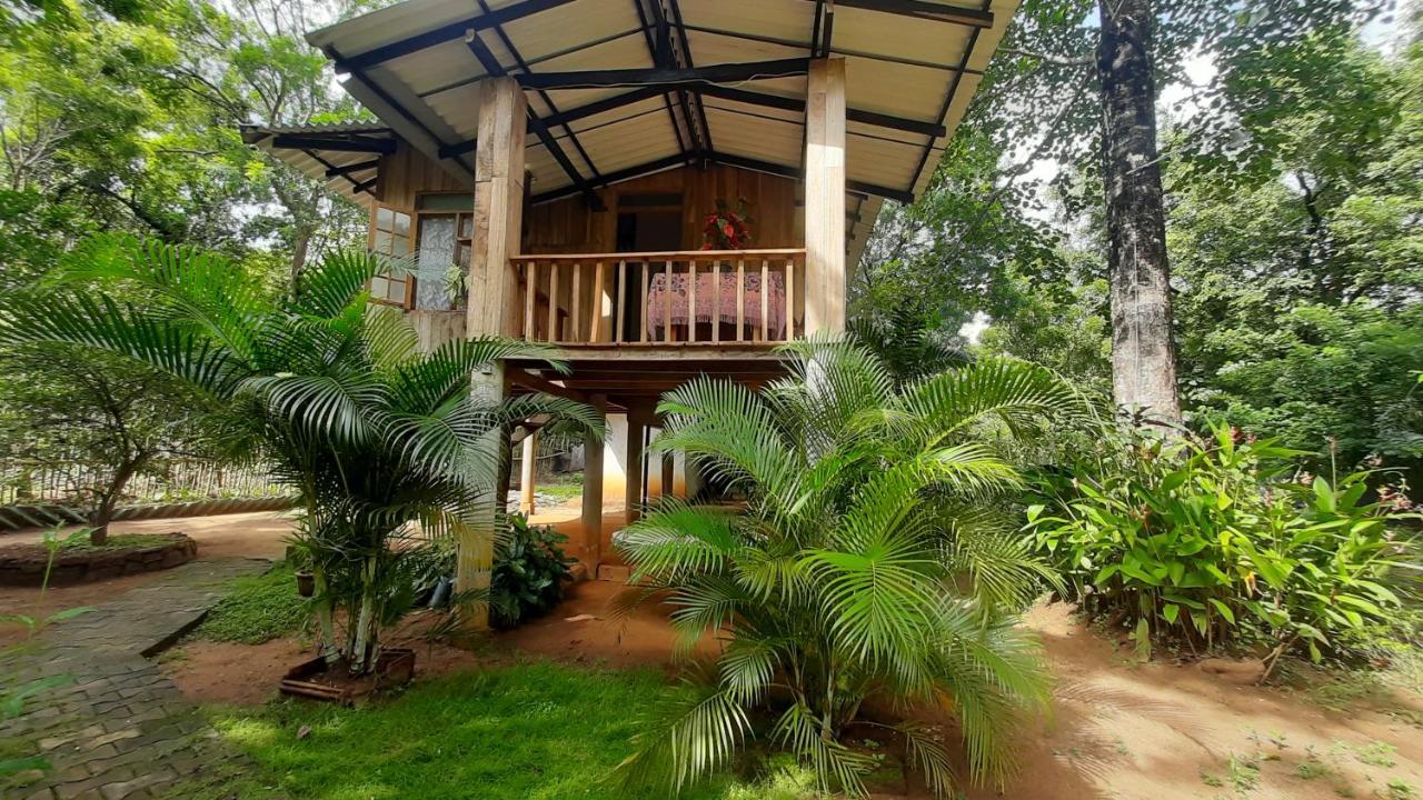 Ruk Sewana Villa Tree House Sigiriya Eksteriør billede