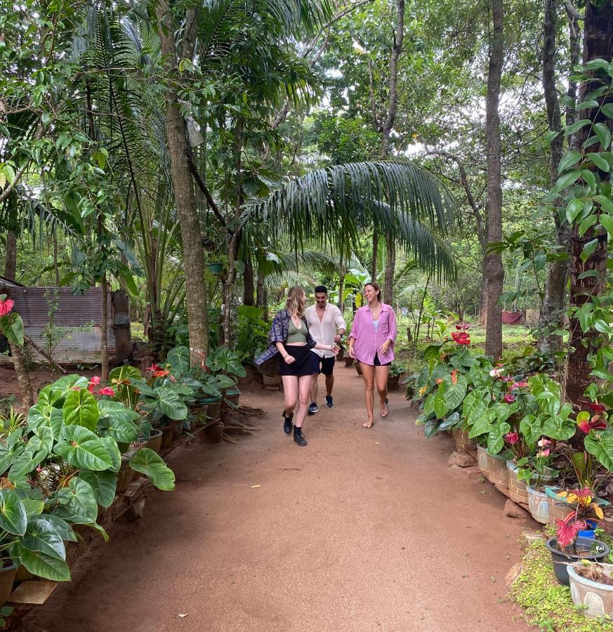 Ruk Sewana Villa Tree House Sigiriya Eksteriør billede