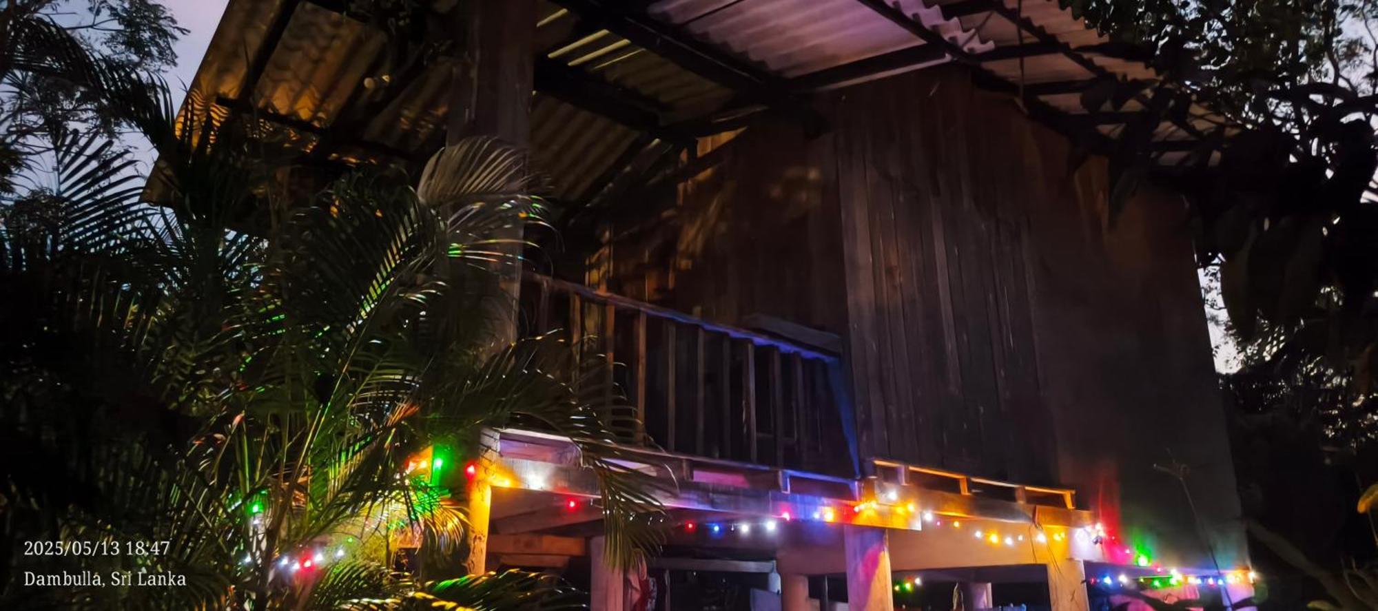 Ruk Sewana Villa Tree House Sigiriya Eksteriør billede